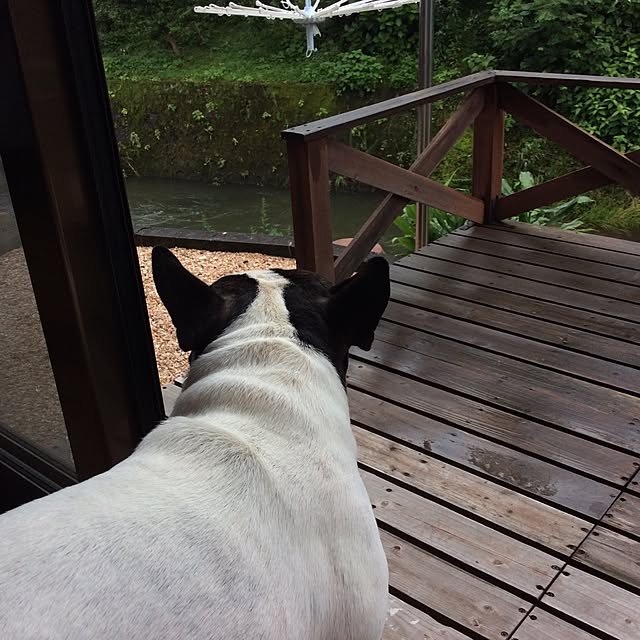 marumaruさんの実例写真
