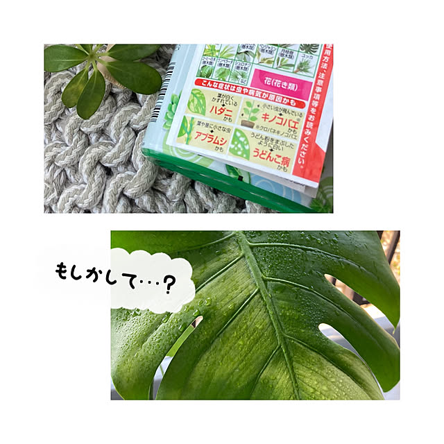 aiaiさんの実例写真