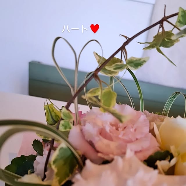 lovesspongebobさんの部屋