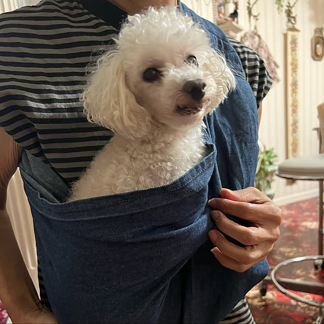 AYUKOさんの実例写真