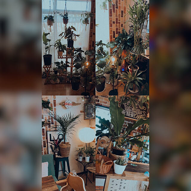y..mama..さんの実例写真