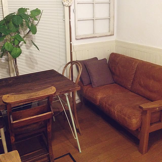 DailyRoomclip