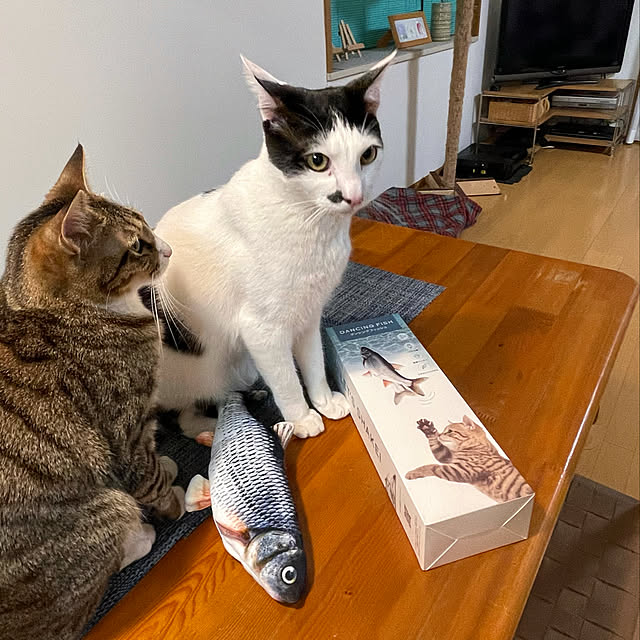 nobikoさんの実例写真
