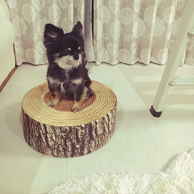 cocoさんの実例写真