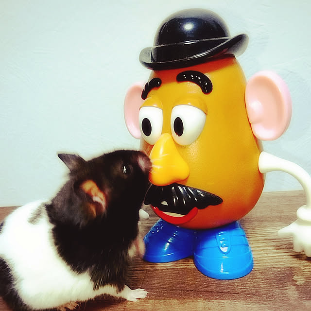 Paguさんの実例写真