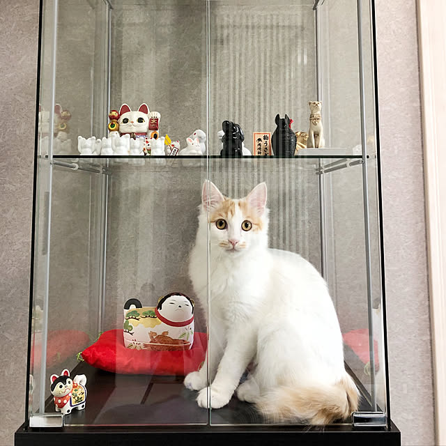 yuchiさんの実例写真