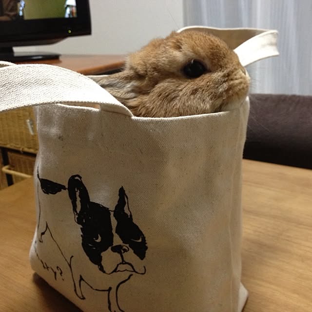 saoriさんの実例写真