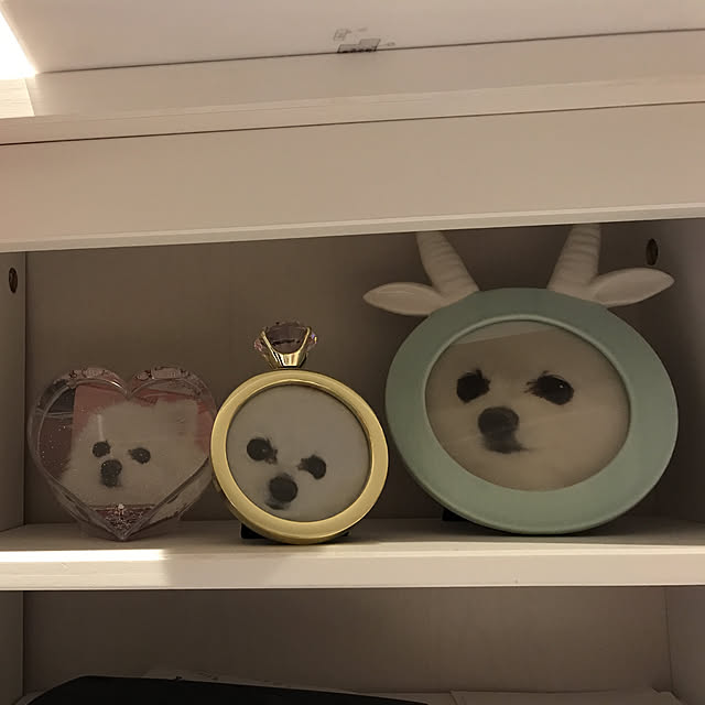 部屋全体のインテリア実例 - 2017-08-25 21:23:39