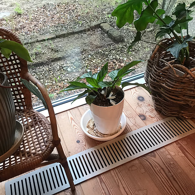 hachi1023さんの部屋