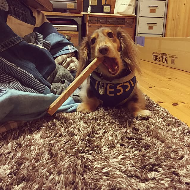 yupponさんの実例写真