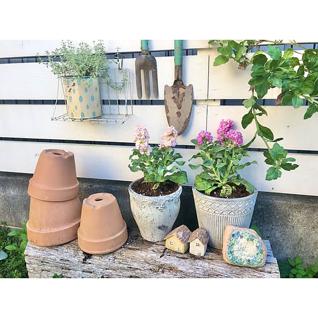 ponさんの実例写真