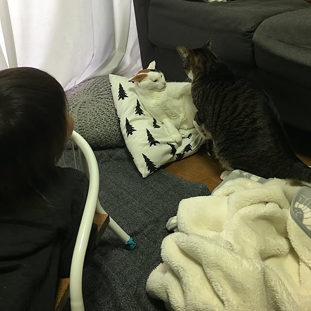 ichi.さんの実例写真