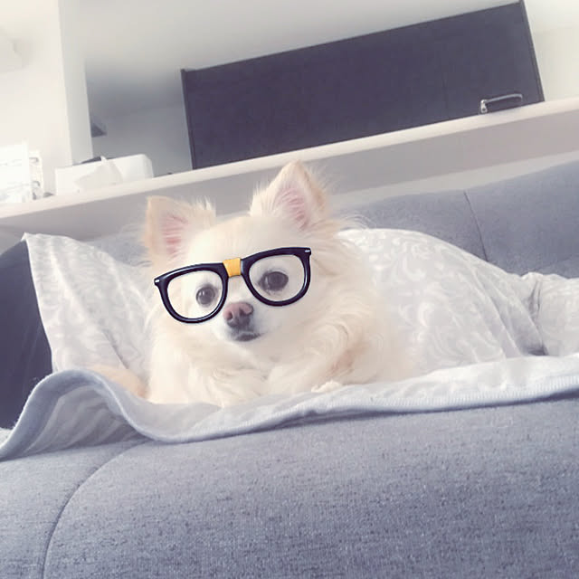 Yumehinaさんの実例写真