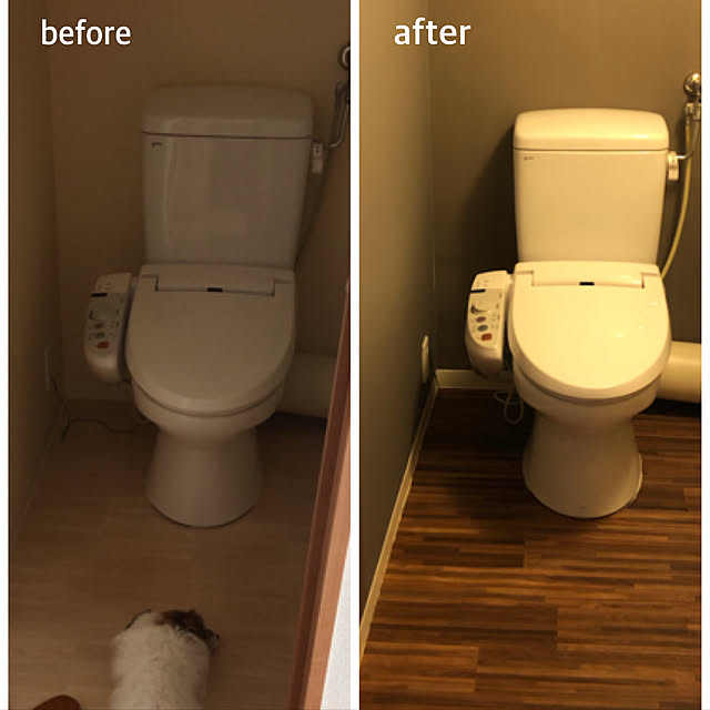 toto.ikさんの実例写真