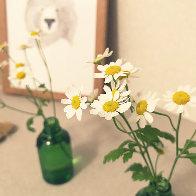 yse212さんの実例写真