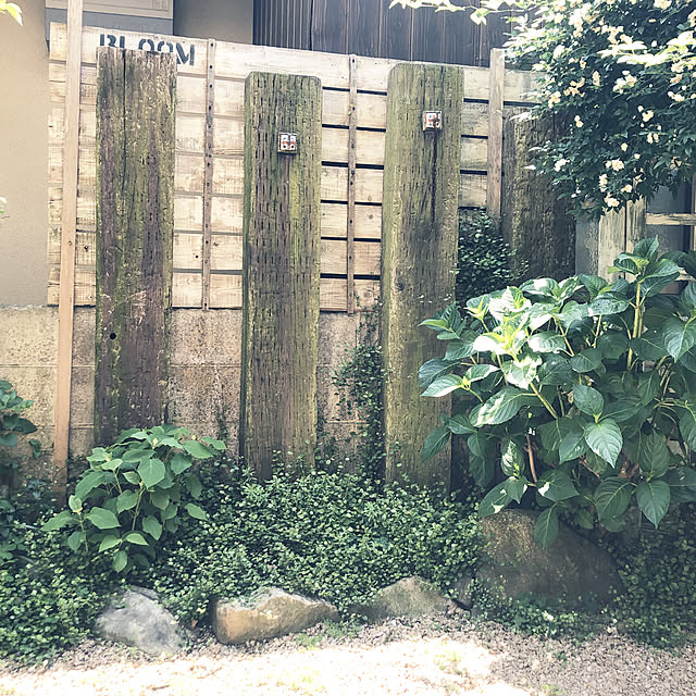takanaさんの実例写真