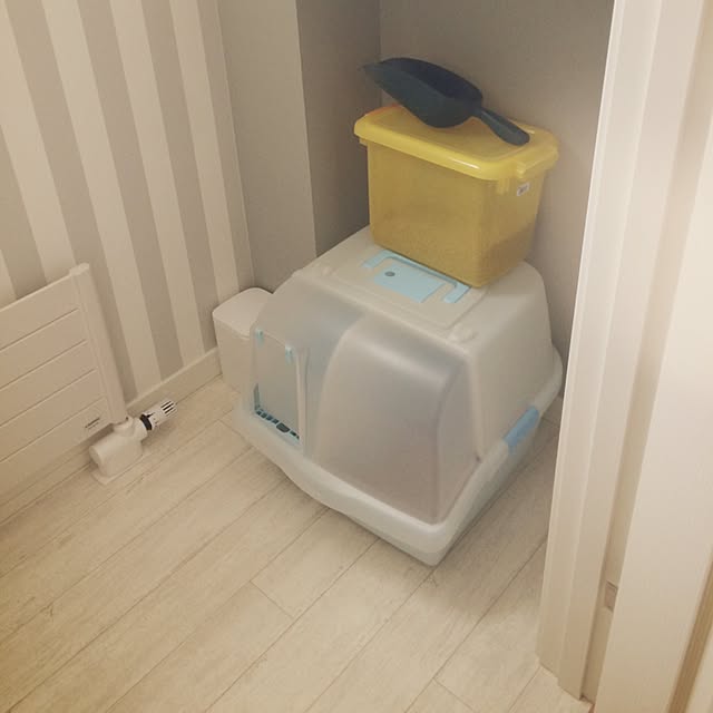 apiさんの実例写真