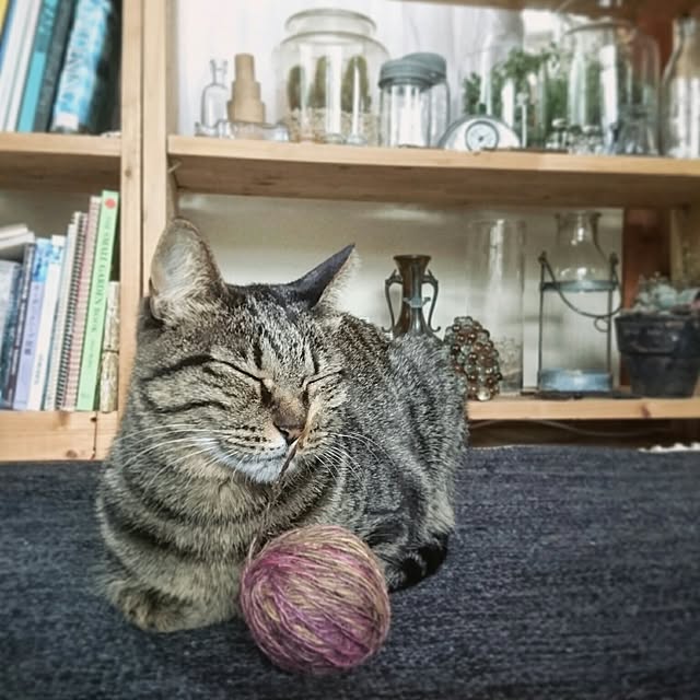 weさんの実例写真