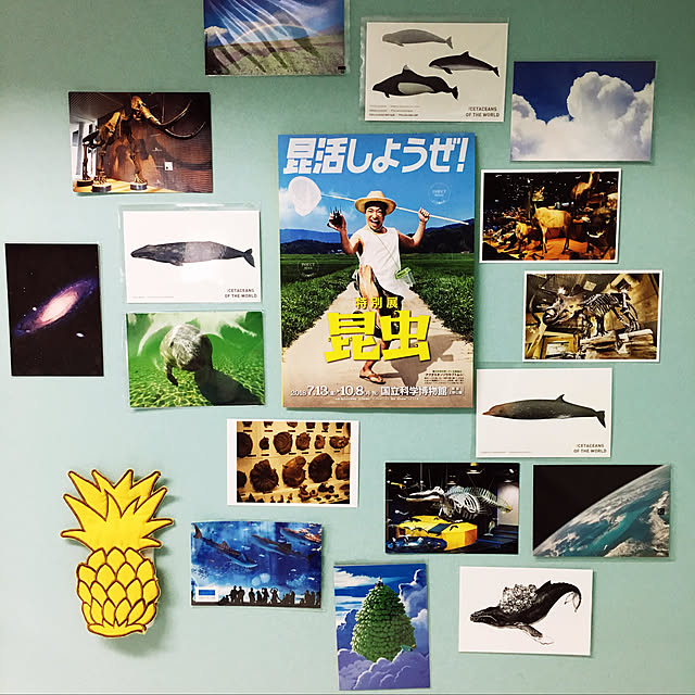 azukiaraiさんの実例写真