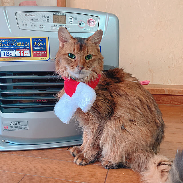 yukarinさんの実例写真