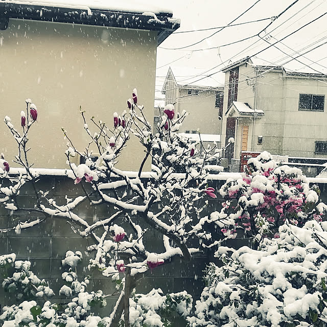 popoponopoさんの実例写真