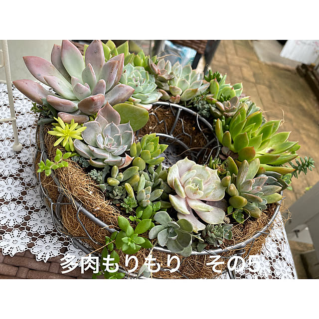 momocchiさんの実例写真