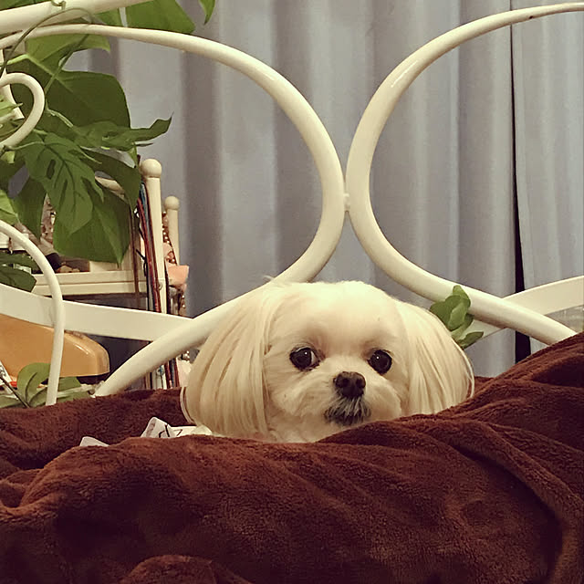 Sonokoさんの実例写真