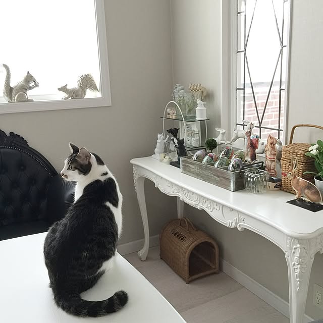 yuchiさんの実例写真