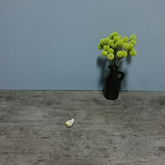 mademoisellenoaさんの実例写真