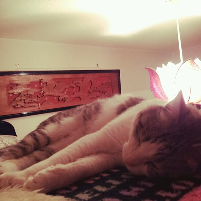 emmyyさんの実例写真