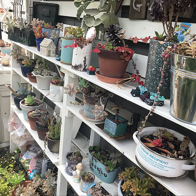 DIY/雑貨/多肉植物/棚のインテリア実例 - 2020-07-24 22:27:10