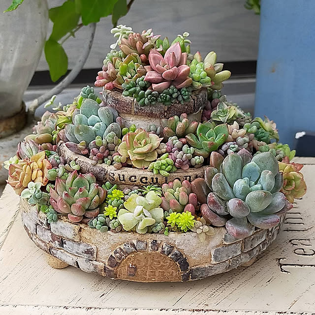 hilltopgardenさんの実例写真