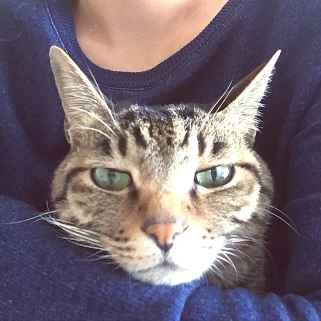 shigimiさんの実例写真