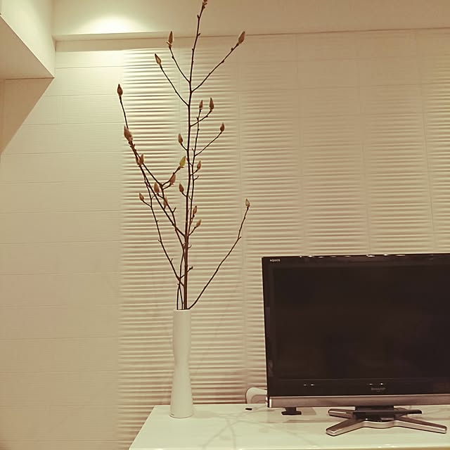 necomさんの実例写真