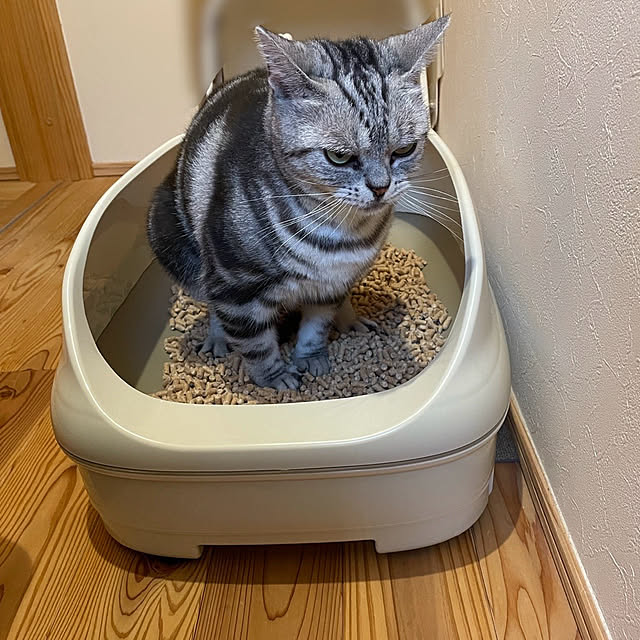 Aさんの実例写真