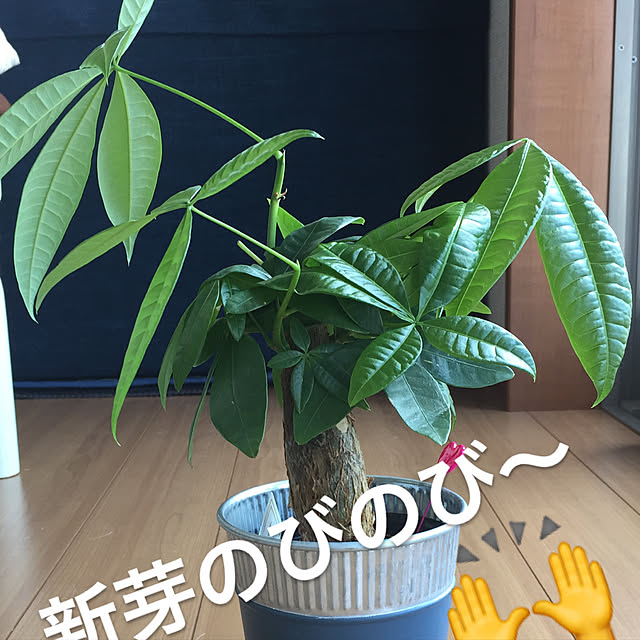 odekoさんの実例写真