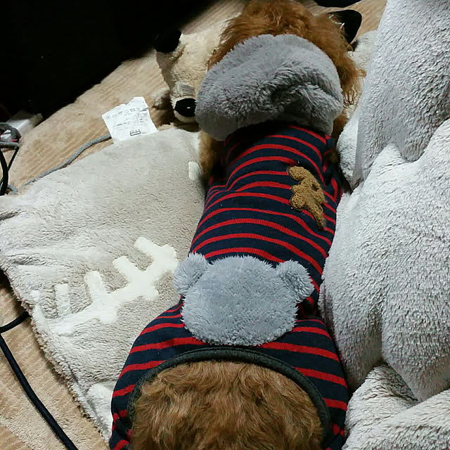 Riccaさんの実例写真