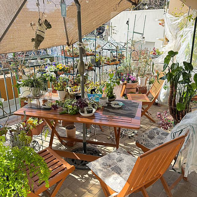 Aqettyさんの実例写真