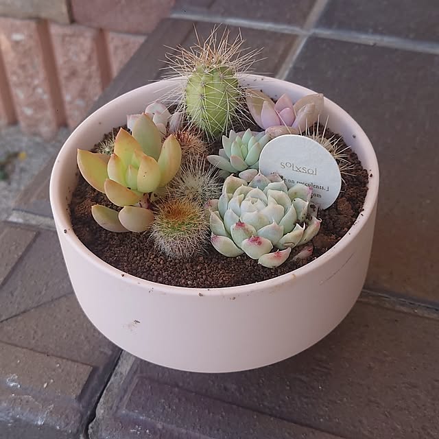 Pikakeさんの実例写真