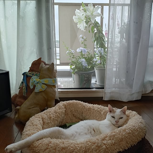 NOAHさんの部屋