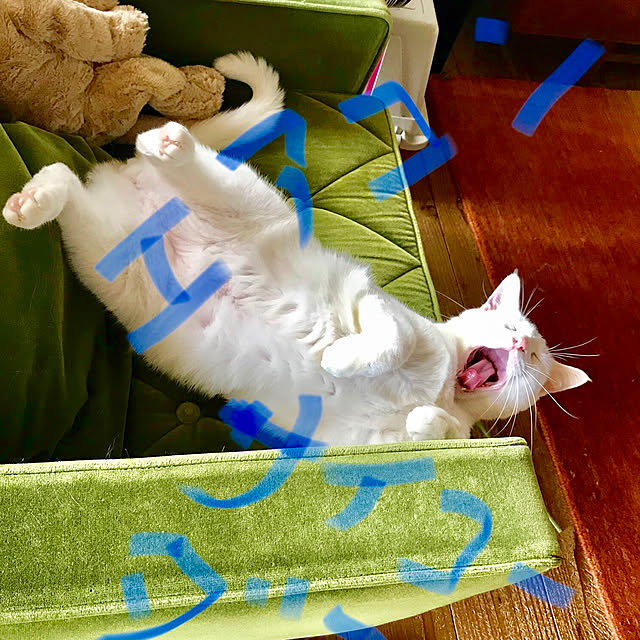 sakurasakuさんの実例写真