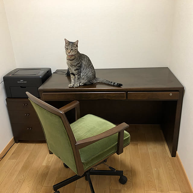 Nikitaさんの実例写真