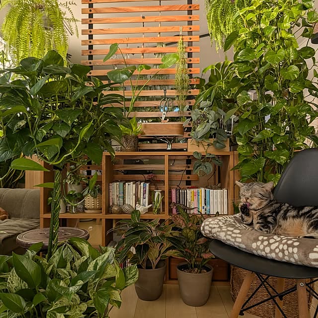 ayamameさんの実例写真