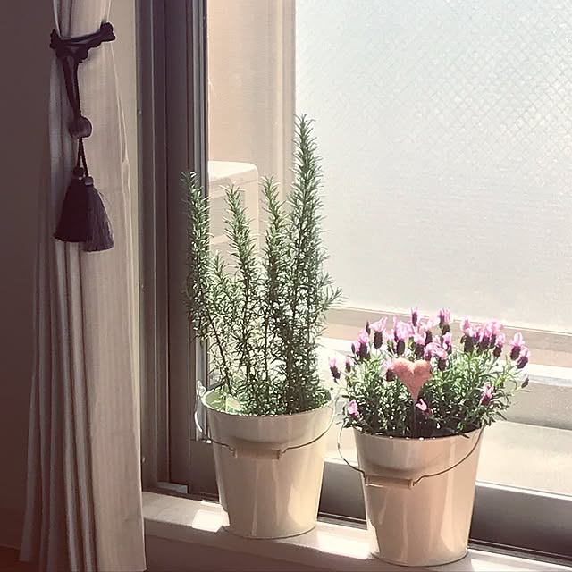 Stephさんの実例写真