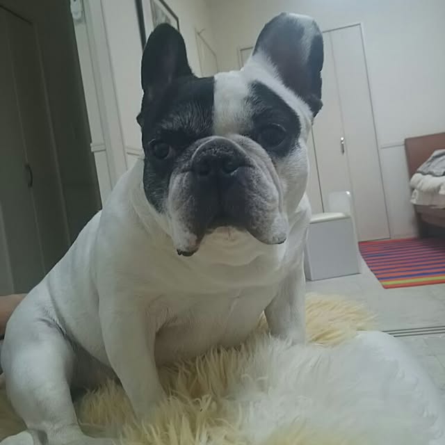 AandPさんの実例写真