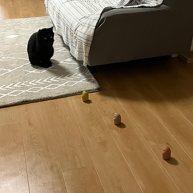 tangosanさんの部屋