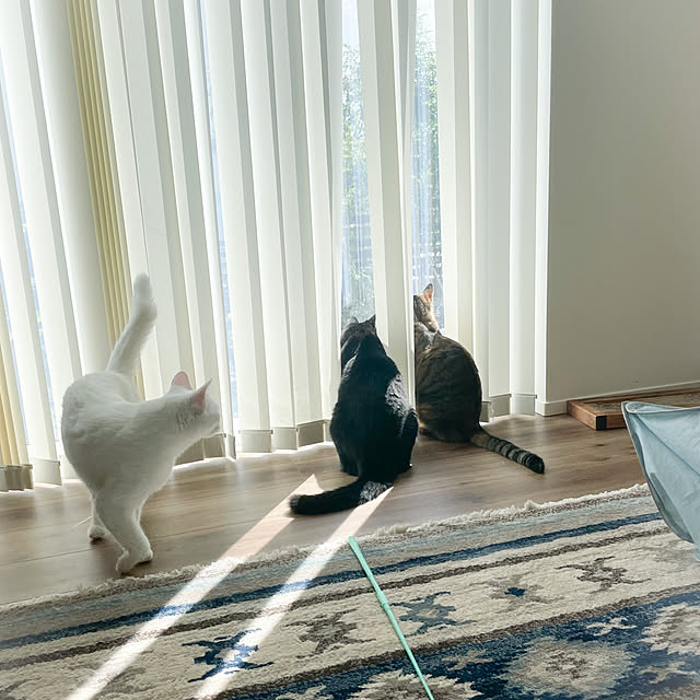 jijicoさんの実例写真
