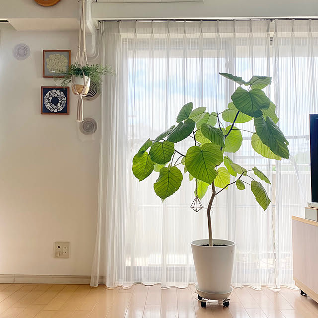 krkrさんの部屋