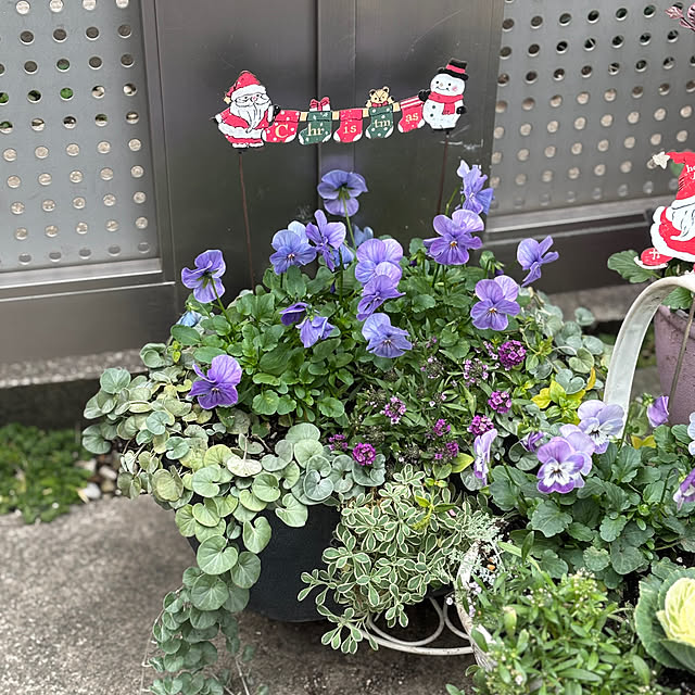 maayaさんの部屋