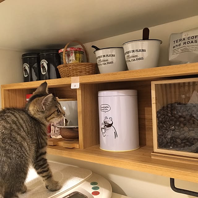 mikomaruさんの実例写真